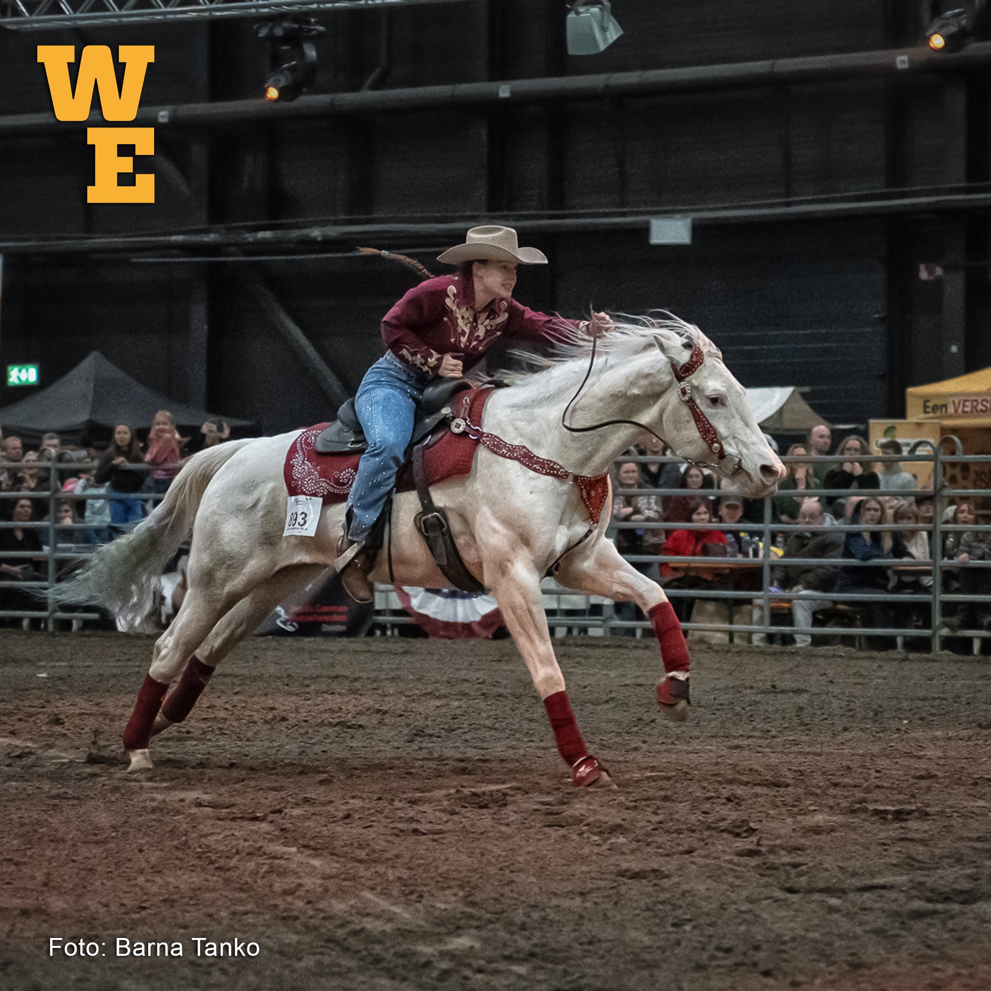 Wester Experience Cup 2026